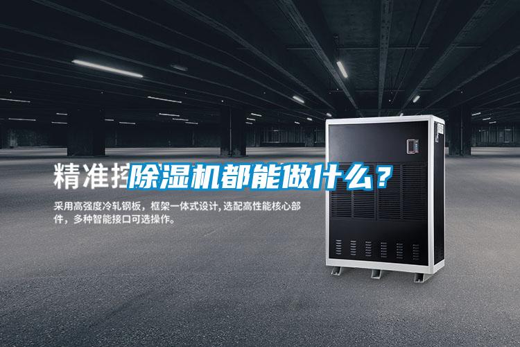 除湿机都能做什么?