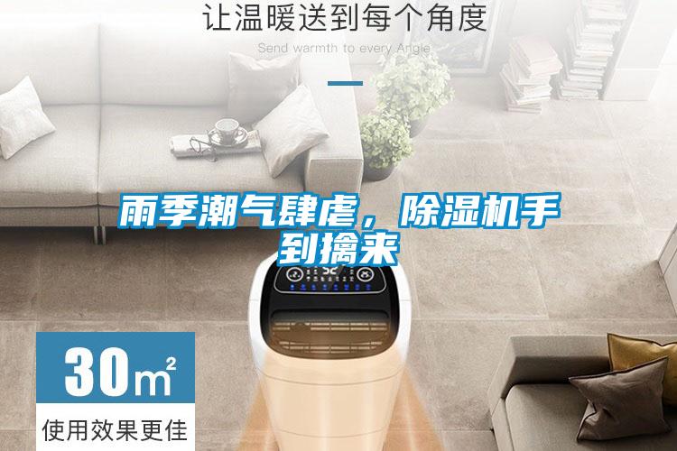 雨季潮气肆虐,除湿机手到擒来