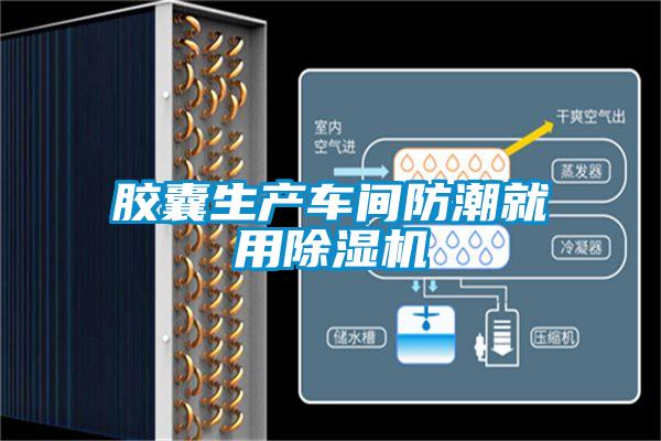 胶囊生产车间防潮就用除湿机