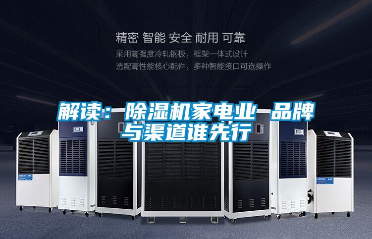 解读:除湿机家电业 品牌与渠道谁先行