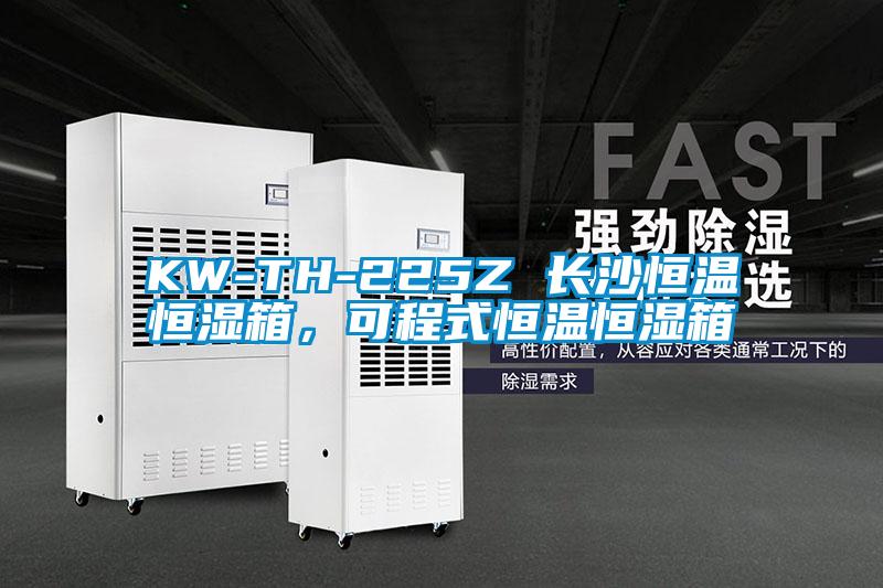 KW-TH-225Z 长沙恒温恒湿箱,可程式恒温恒湿箱