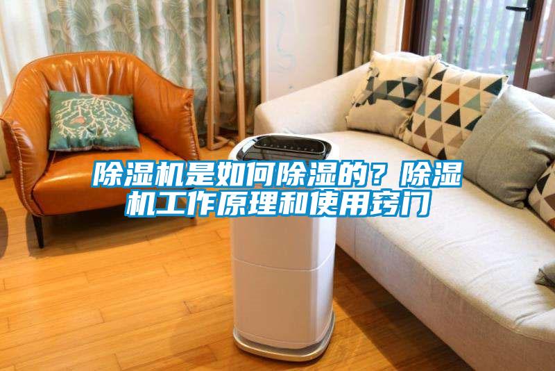 除湿机是如何除湿的?除湿机工作原理和使用窍门