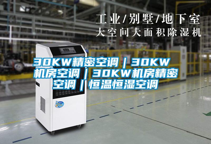 30KW精密空调|30KW 机房空调|30KW机房精密空调|恒温恒湿空调