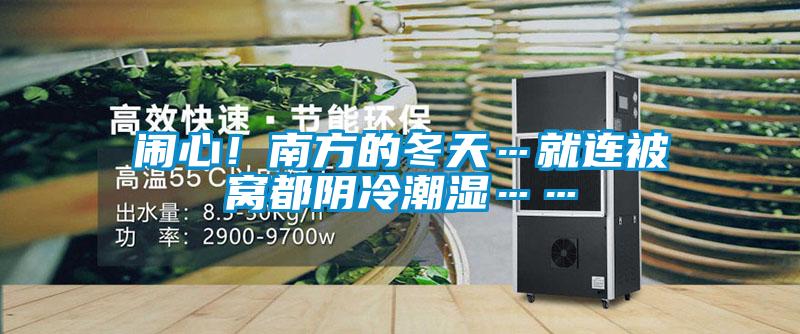 闹心!南方的冬天…就连被窝都阴冷潮湿……