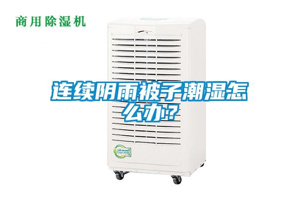 连续阴雨被子潮湿怎么办?