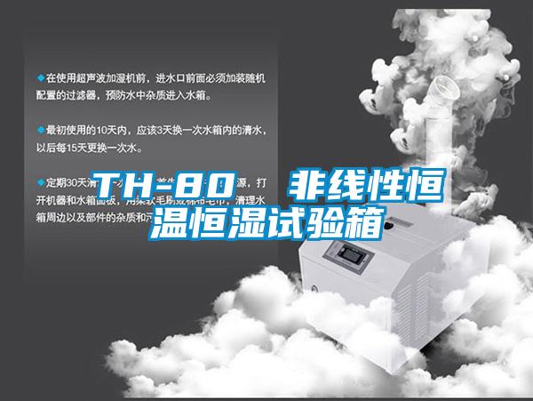 TH-80 非线性恒温恒湿试验箱