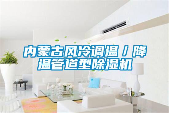 内蒙古风冷调温/降温管道型除湿机