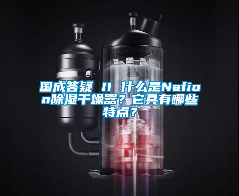 国成答疑 II 什么是Nafion除湿干燥器?它具有哪些特点?