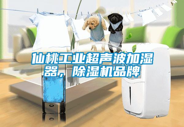 仙桃工业超声波加湿器,除湿机品牌
