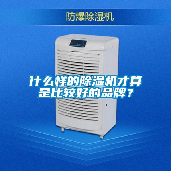 什么样的除湿机才算是比较好的品牌?