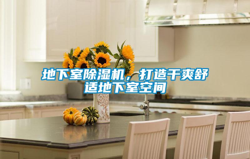 地下室除湿机,打造干爽舒适地下室空间