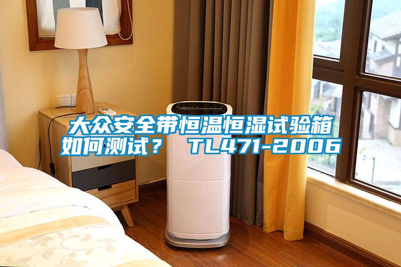 大众安全带恒温恒湿试验箱如何测试? TL471-2006