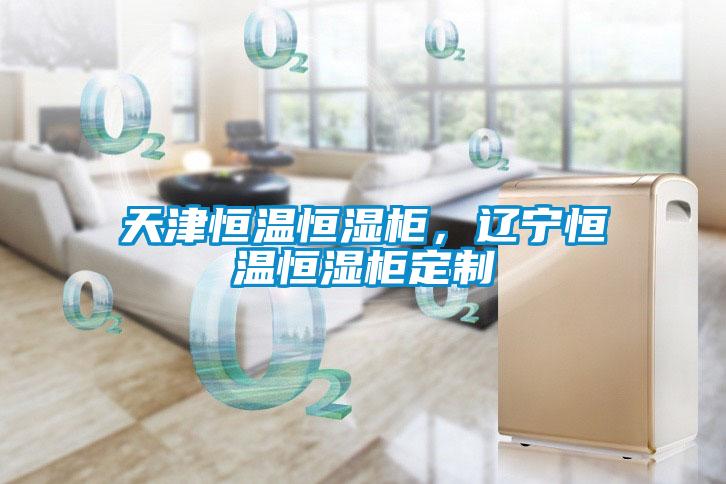 天津恒温恒湿柜,辽宁恒温恒湿柜定制