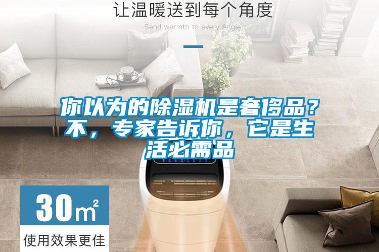 你以为的除湿机是奢侈品?不,专家告诉你,它是生活必需品