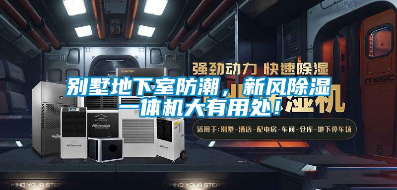 别墅地下室防潮,新风除湿一体机大有用处!