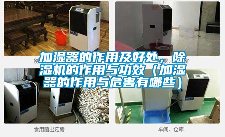 加湿器的作用及好处,除湿机的作用与功效(加湿器的作用与危害有哪些)