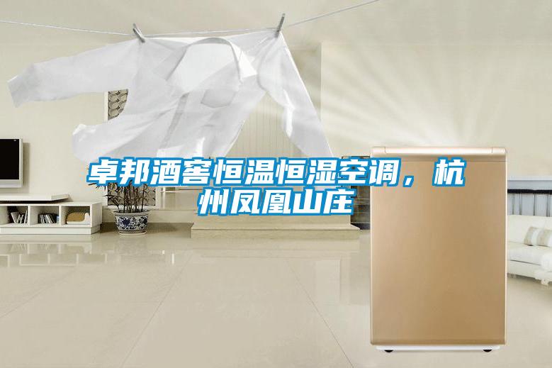 卓邦酒窖恒温恒湿空调,杭州凤凰山庄