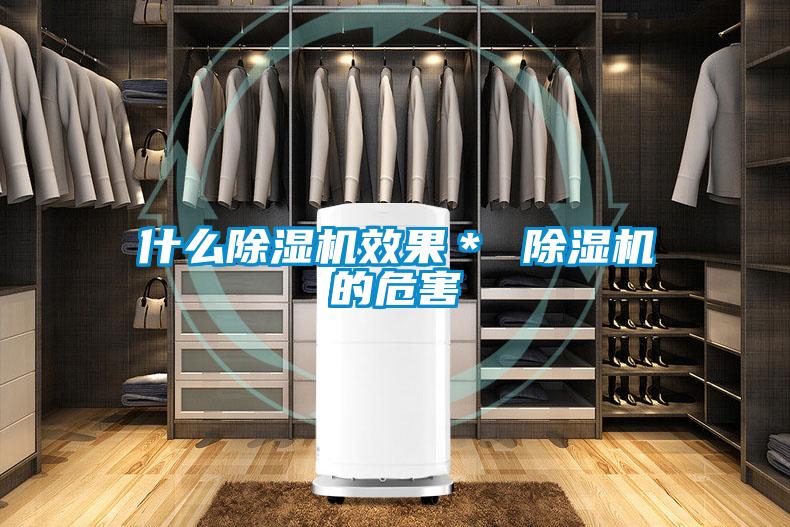 什么除湿机效果* 除湿机的危害