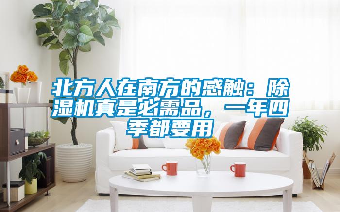 北方人在南方的感触:除湿机真是必需品,一年四季都要用