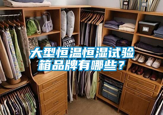 大型恒温恒湿试验箱品牌有哪些?