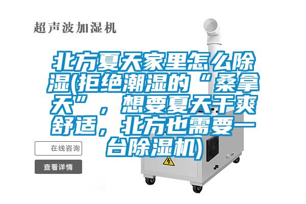 北方夏天家里怎么除湿(拒绝潮湿的“桑拿天”，想要夏天干爽舒适，北方也需要一台除湿机)