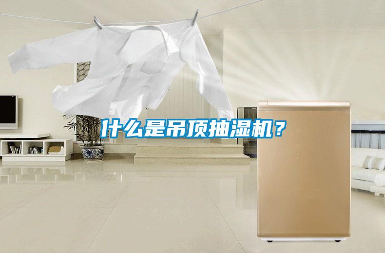 什么是吊顶抽湿机?