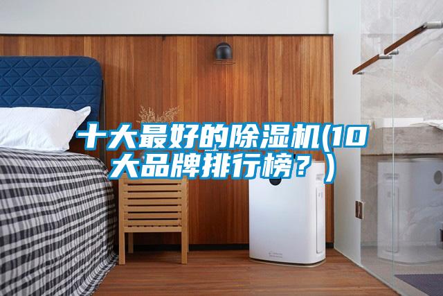十大最好的除湿机(10大品牌排行榜?)