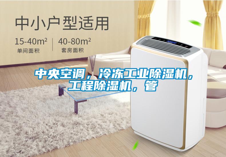 中央空调,冷冻工业除湿机,工程除湿机,管