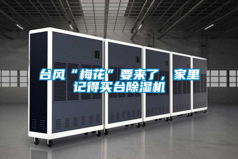 台风“梅花”要来了,家里记得买台除湿机