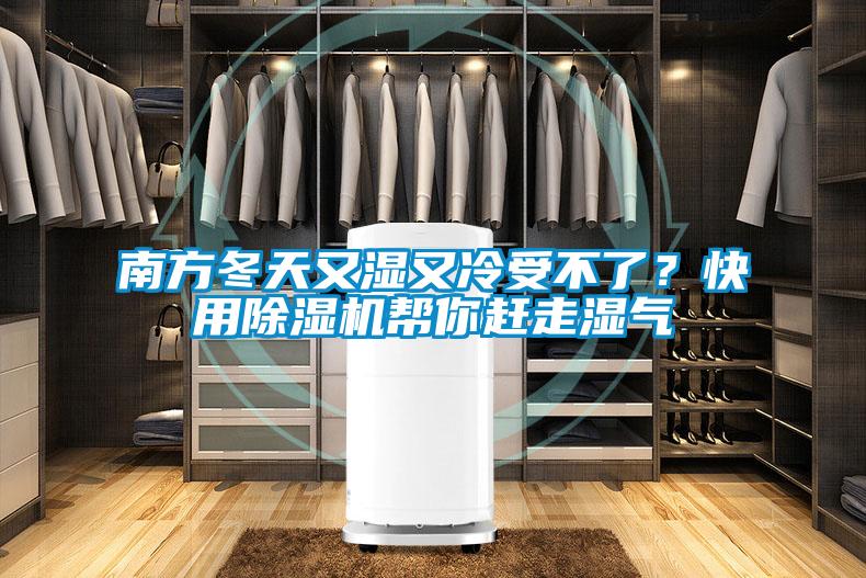 南方冬天又湿又冷受不了?快用除湿机帮你赶走湿气