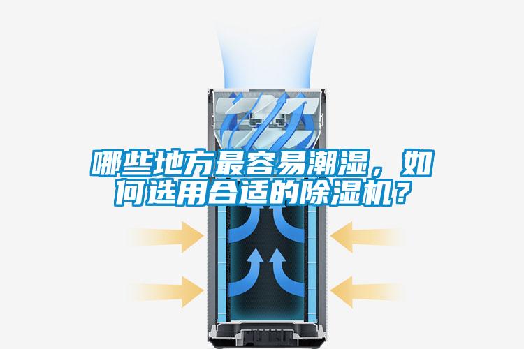 哪些地方最容易潮湿,如何选用合适的除湿机?