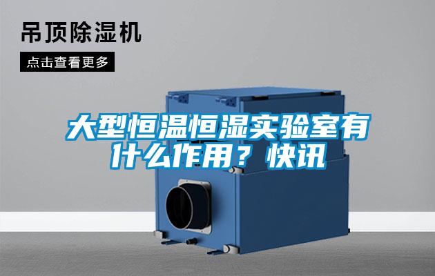 大型恒温恒湿实验室有什么作用?快讯