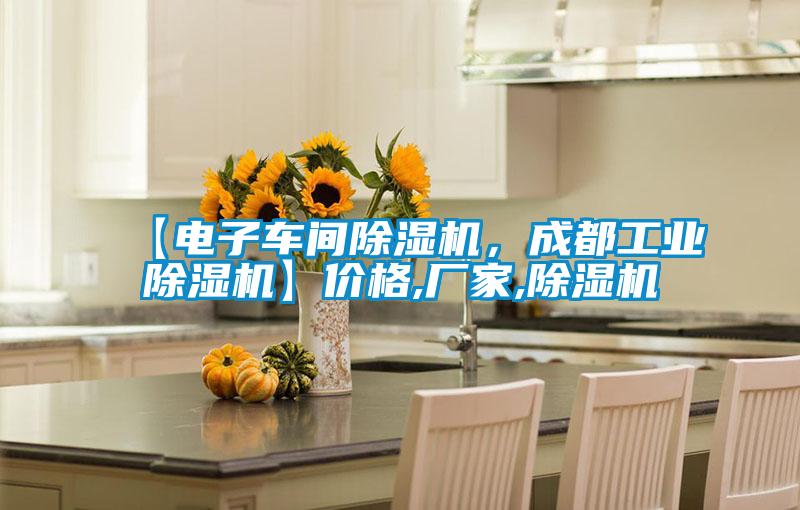 【电子车间除湿机,成都工业除湿机】价格,厂家,除湿机