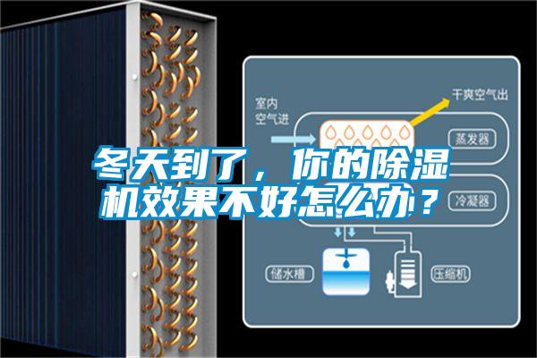 冬天到了,你的除湿机效果不好怎么办?
