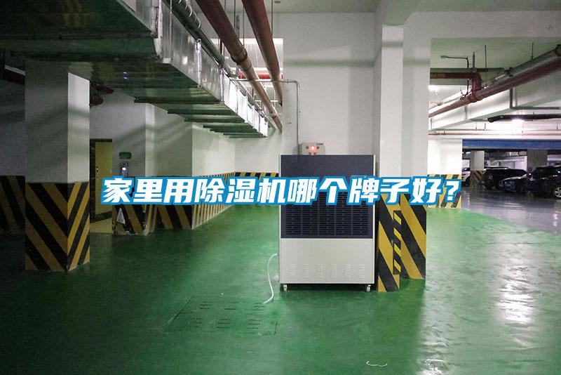 家里用除湿机哪个牌子好?