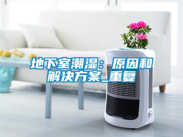 地下室潮湿:原因和解决方案_重复