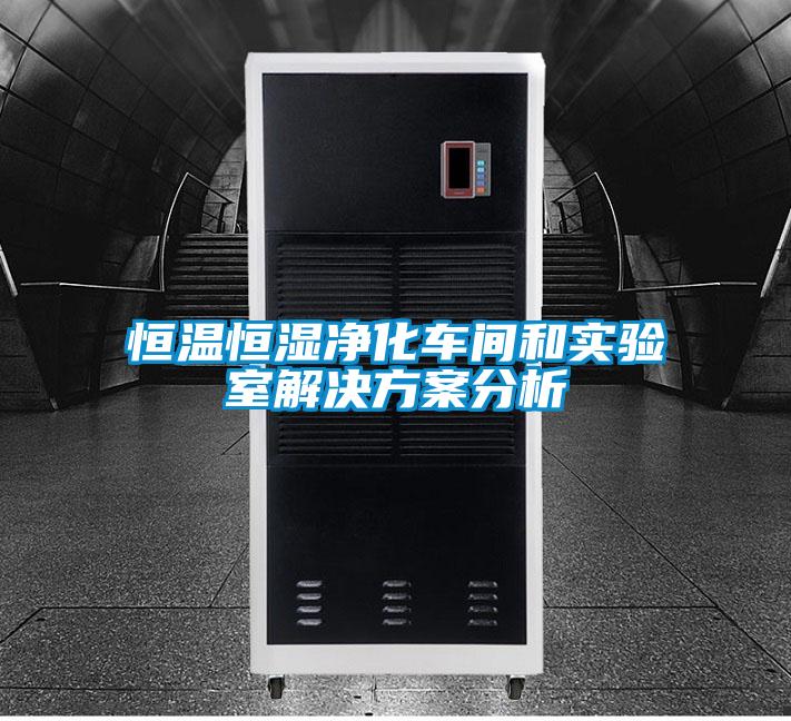 恒温恒湿净化车间和实验室解决方案分析