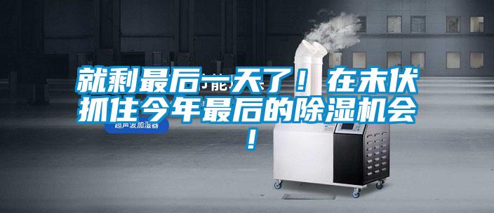 就剩最后一天了!在末伏抓住今年最后的除湿机会!