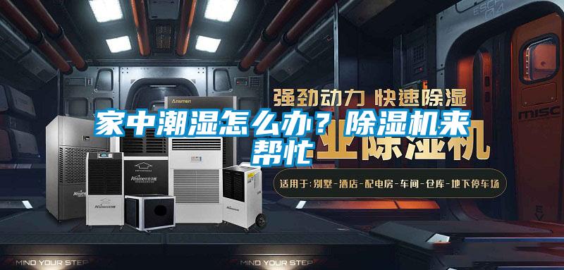 家中潮湿怎么办?除湿机来帮忙