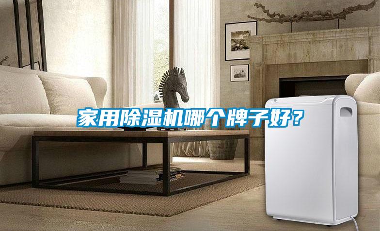 家用除湿机哪个牌子好?