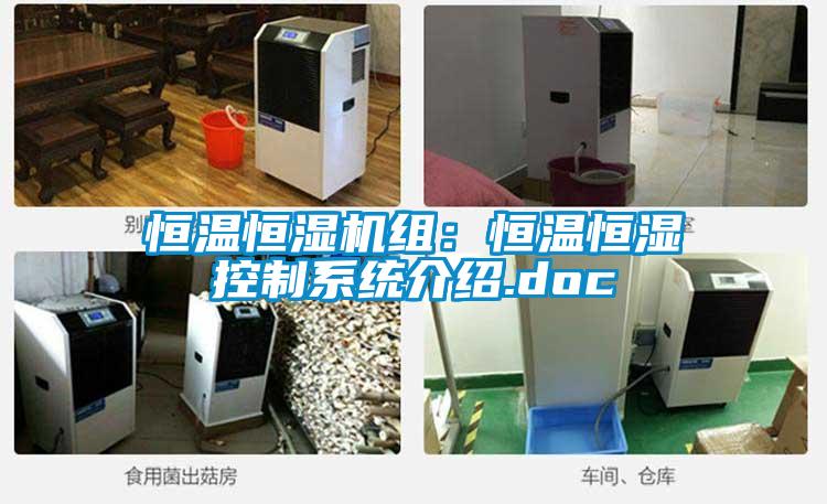 恒温恒湿机组:恒温恒湿控制系统介绍.doc