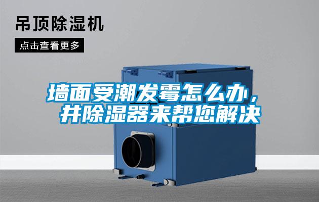 墙面受潮发霉怎么办,東井除湿器来帮您解决