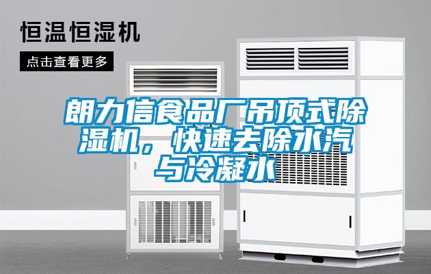 朗力信食品厂吊顶式除湿机,快速去除水汽与冷凝水