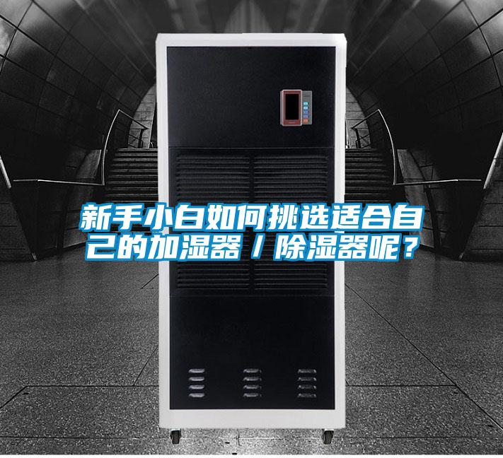 新手小白如何挑选适合自己的加湿器/除湿器呢?