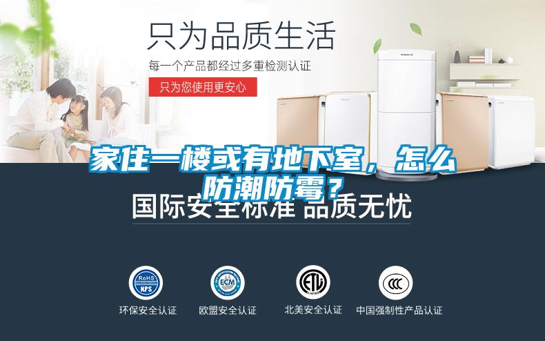 家住一楼或有地下室,怎么防潮防霉?