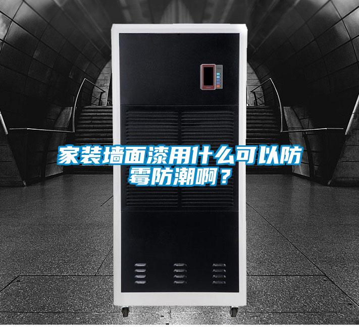 家装墙面漆用什么可以防霉防潮啊?