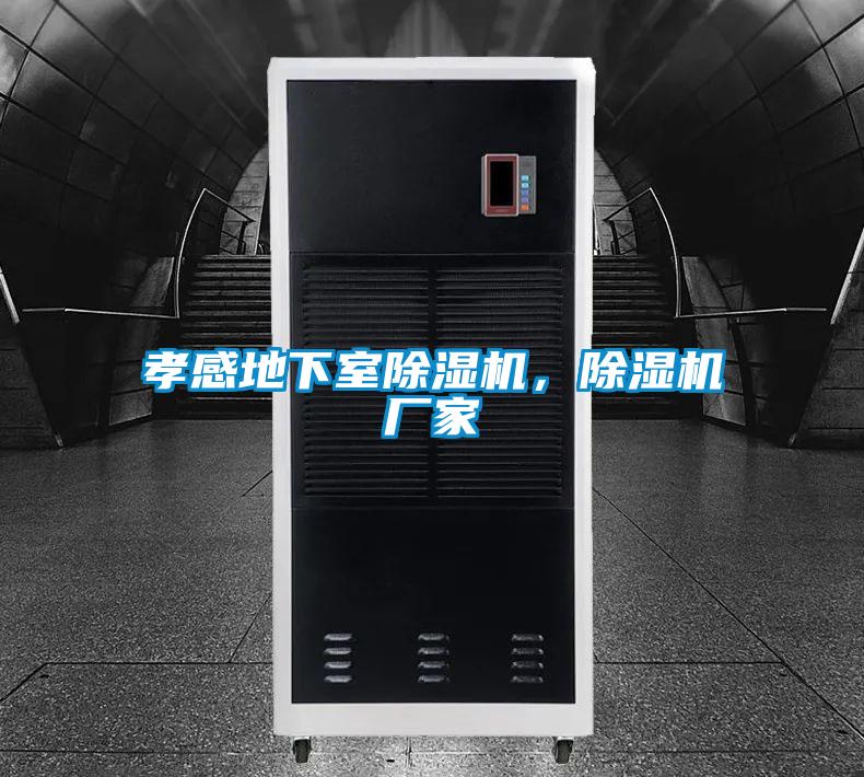 孝感地下室除湿机,除湿机厂家