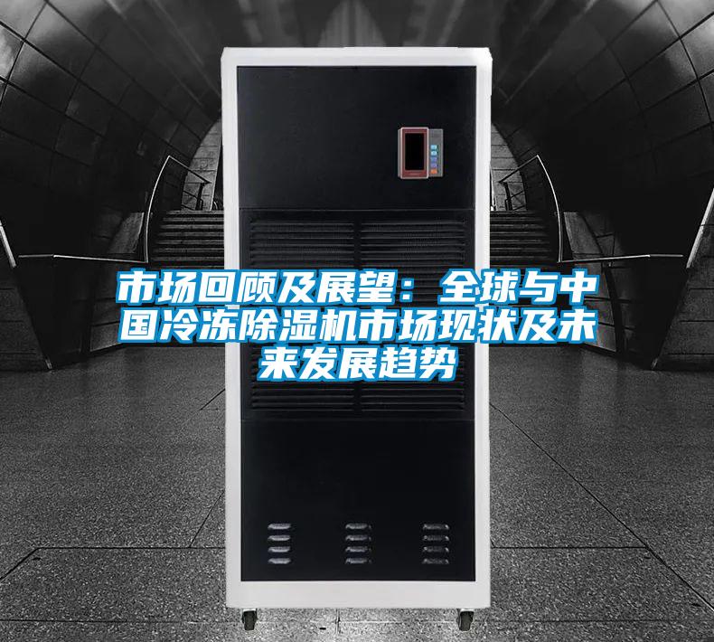 市场回顾及展望:全球与中国冷冻除湿机市场现状及未来发展趋势