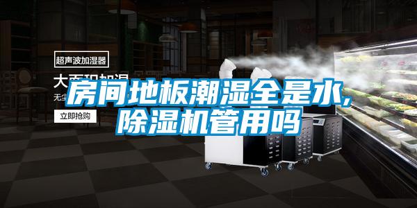 房间地板潮湿全是水,除湿机管用吗