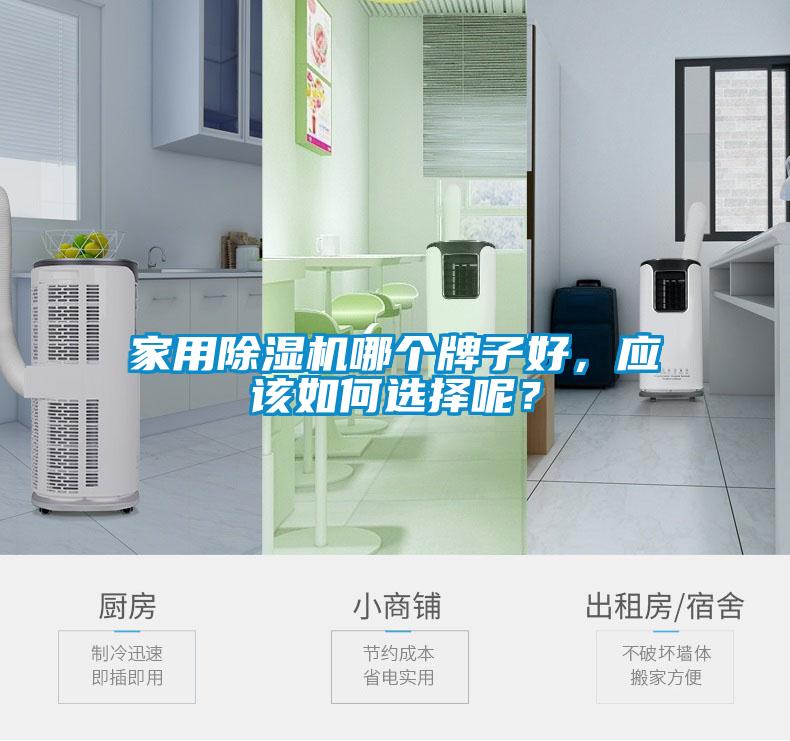 家用除湿机哪个牌子好,应该如何选择呢?